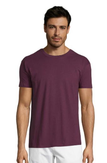 Camiseta Regent colores