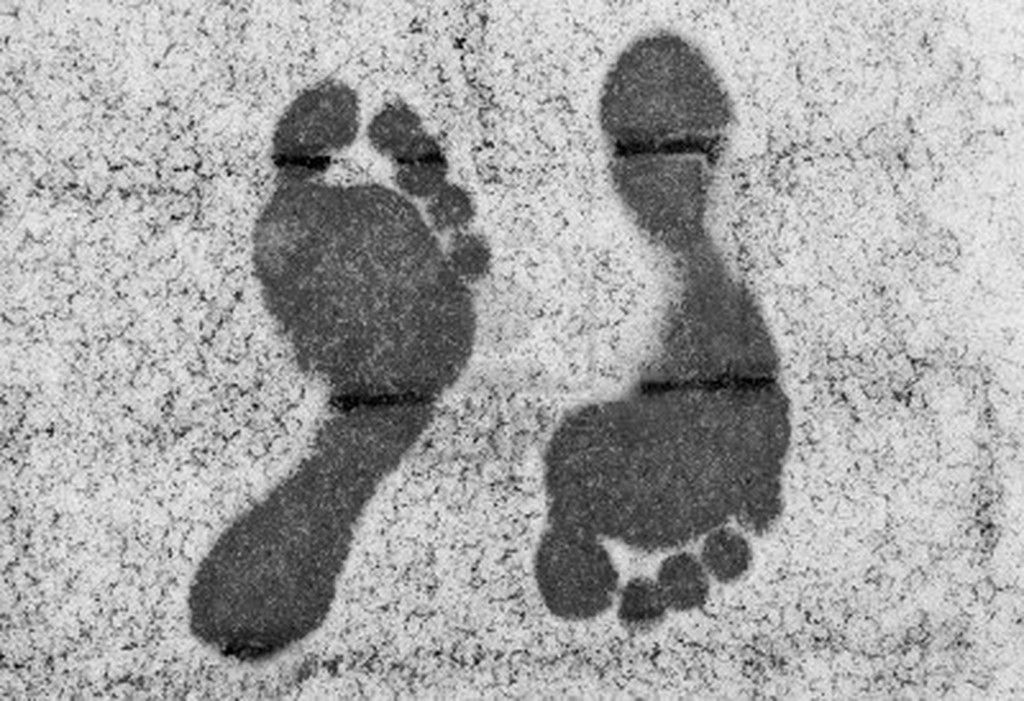 Chaussures et bottes de travail
