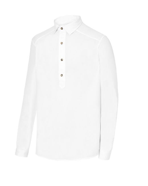 Camisa polera hombre colores