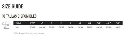 Camiseta Regent unisex colores básicos