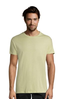 Camiseta Regent unisex colores