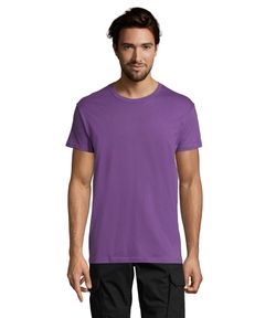 Camiseta Regent unisex colores