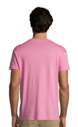 Camiseta Regent unisex colores