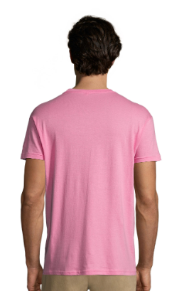 Camiseta Regent unisex colores