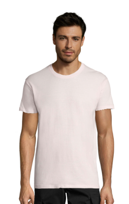 Camiseta Regent unisex colores