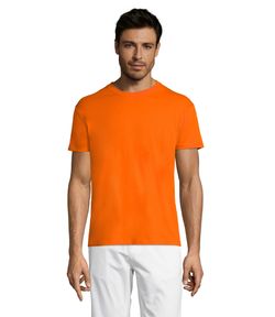 Camiseta Regent unisex colores