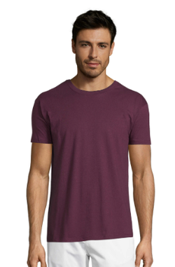 Camiseta Regent unisex colores