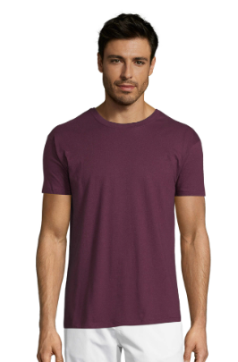 Camiseta Regent unisex colores