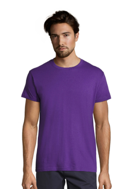 Camiseta Regent unisex colores