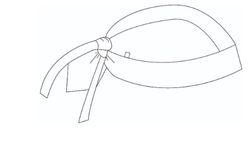 Gorro pirata colores