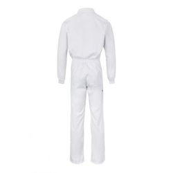 Mono clasico varios colores