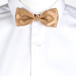 Pajarita varios colores