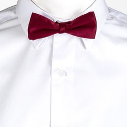 Pajarita varios colores