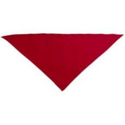 Pañuelo San Fermín adulto